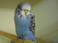 ws-babys2012.005.jpg